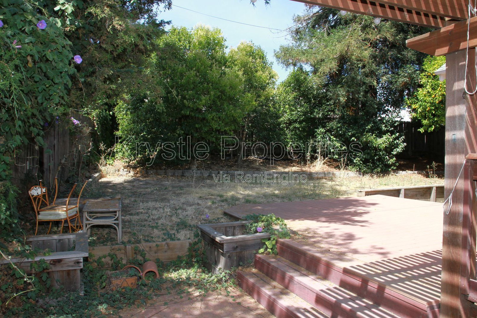 Gallery Image 15