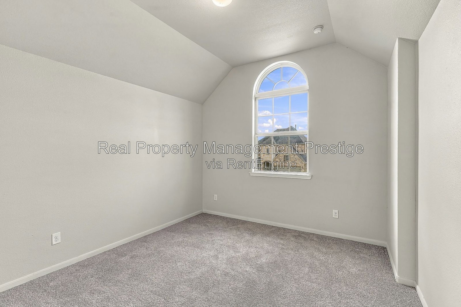 Gallery Image 16