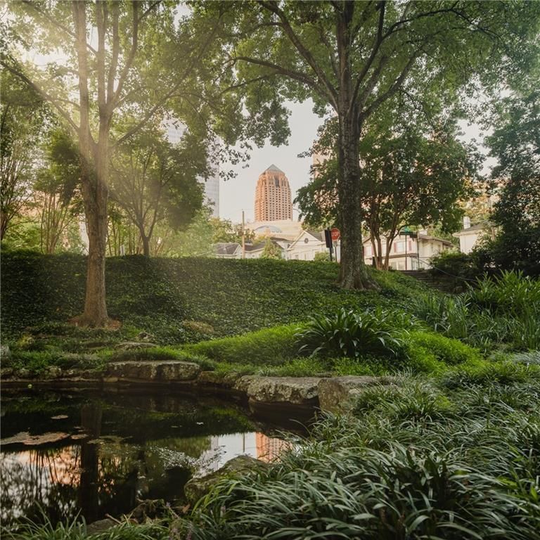 Gallery Image 17