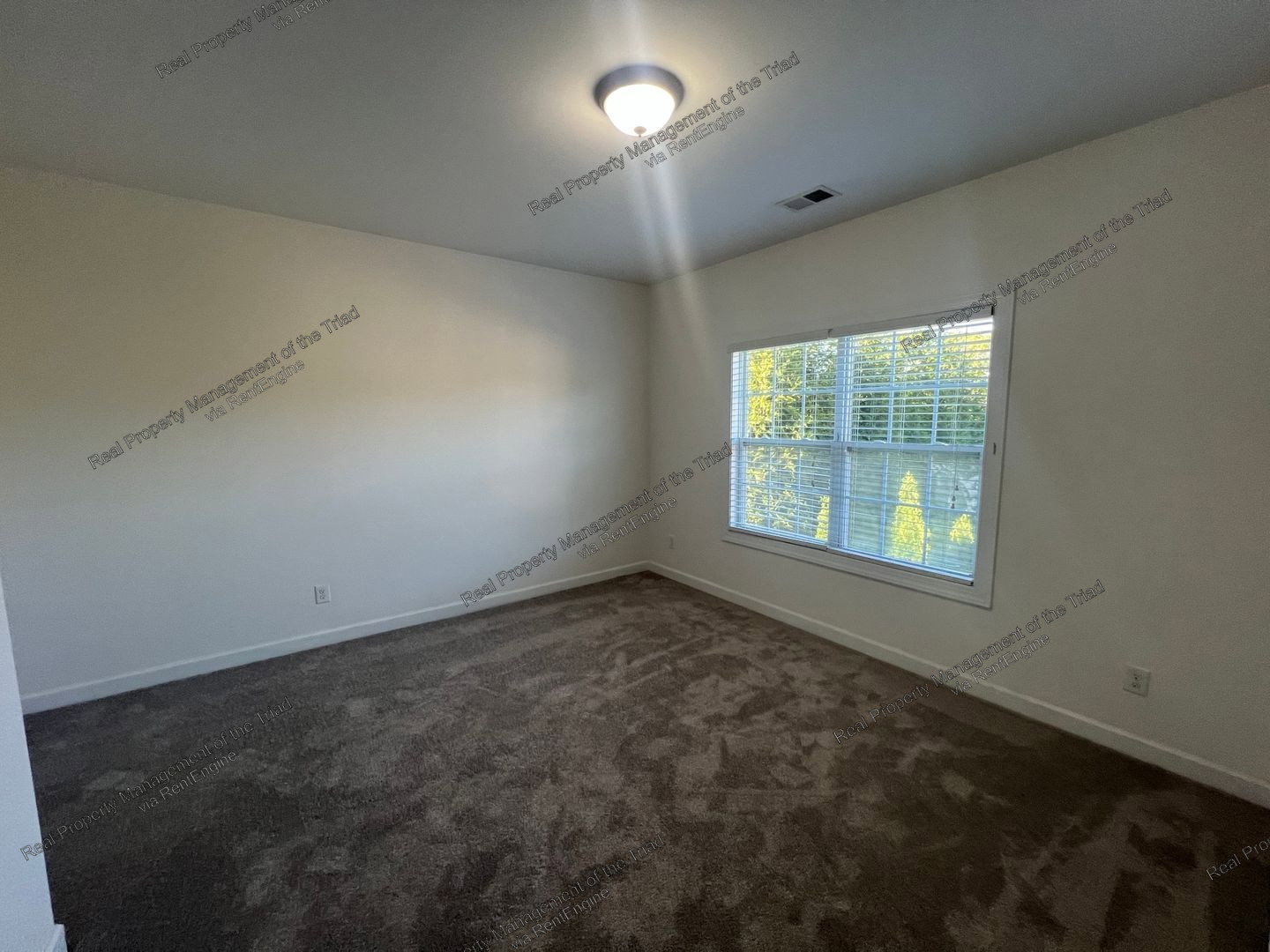 Gallery Image 19