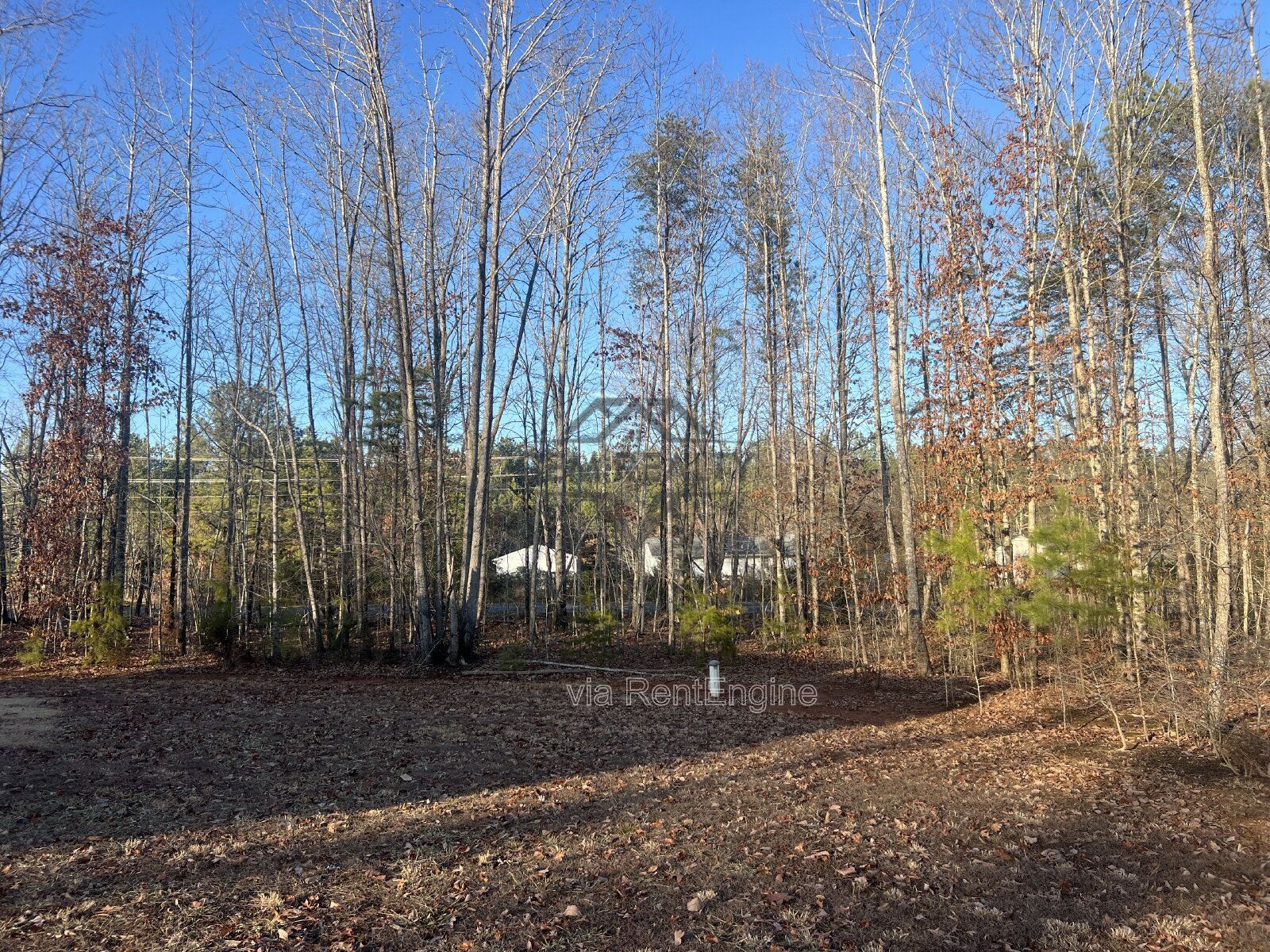 Gallery Image 36