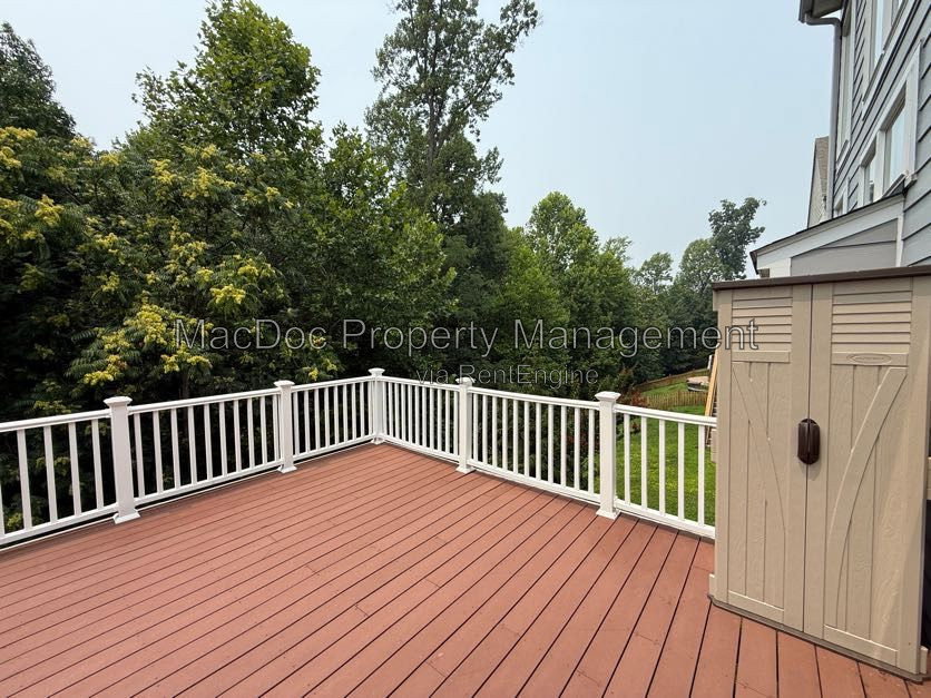 Gallery Image 36