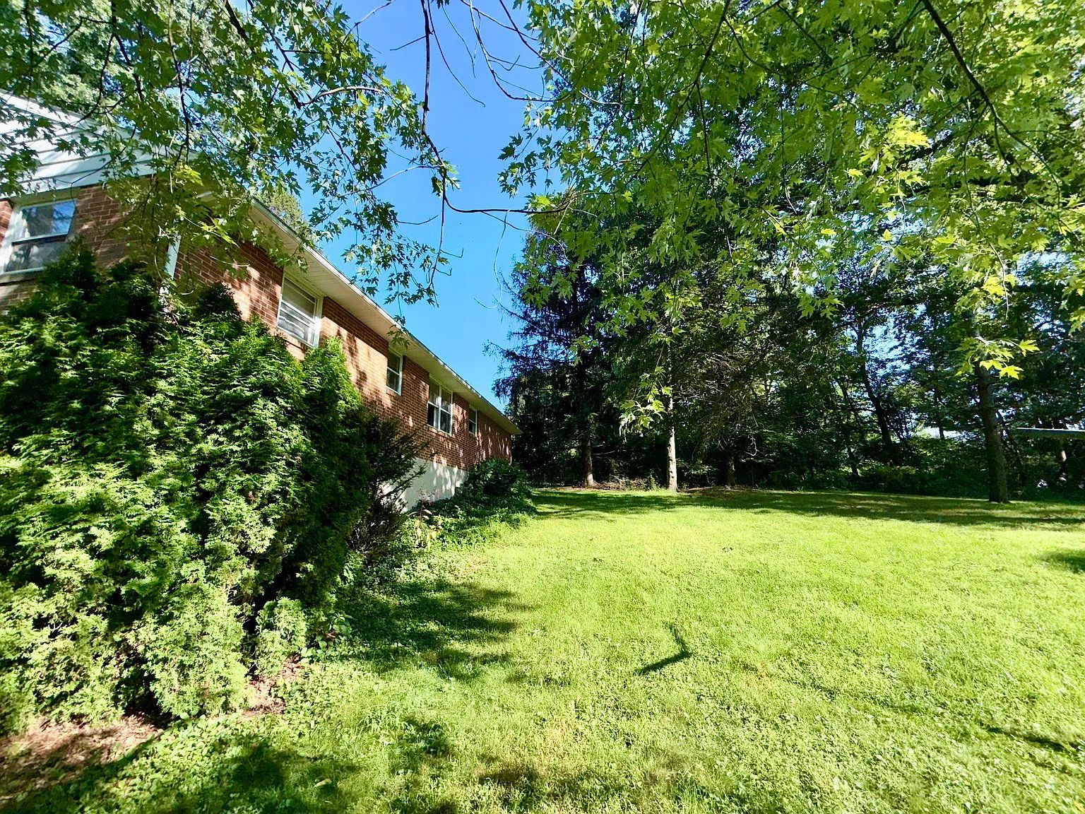 Gallery Image 15