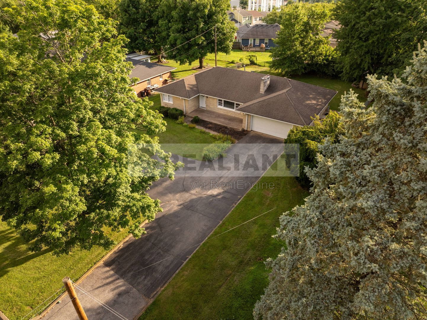 Gallery Image 61