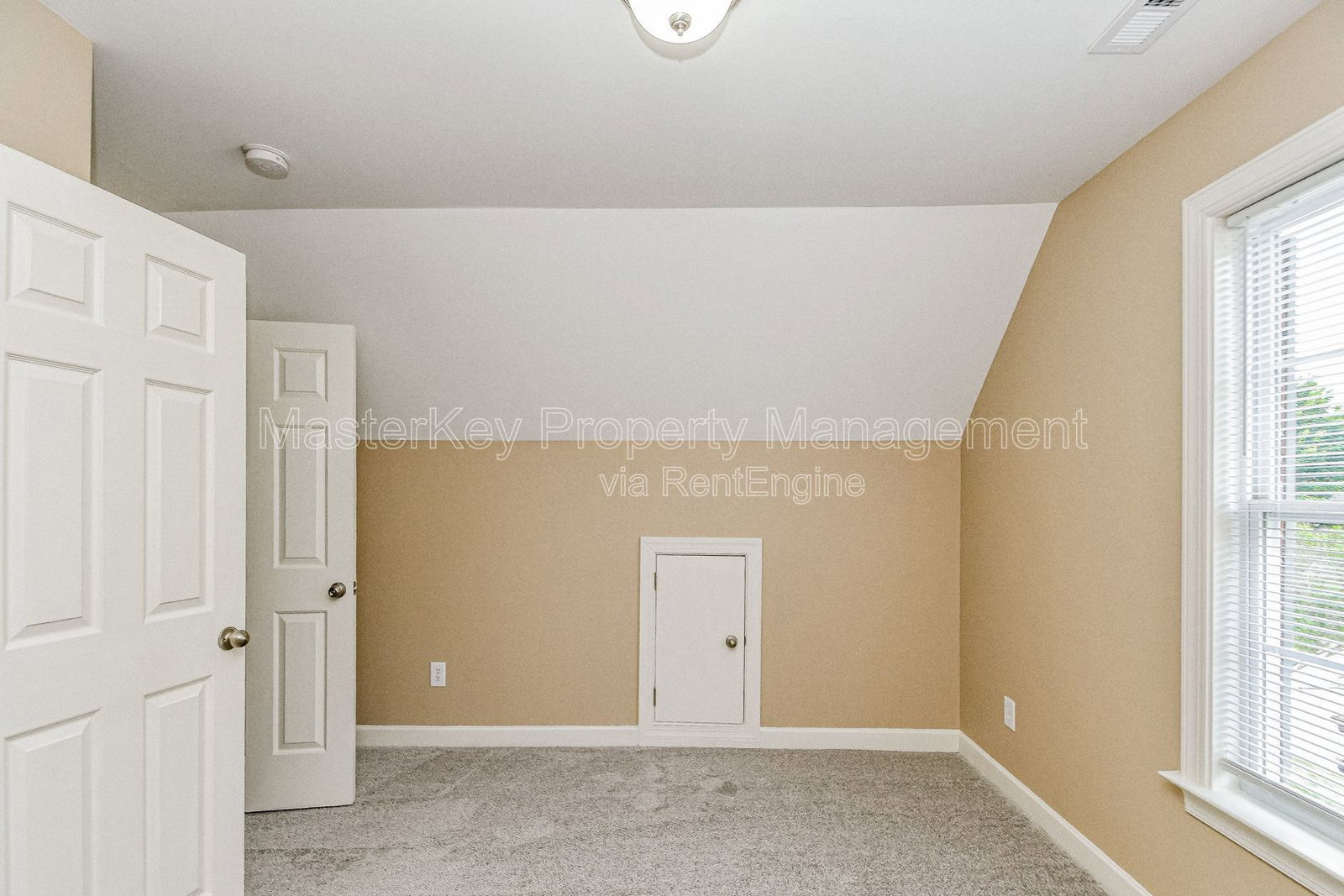 Gallery Image 19