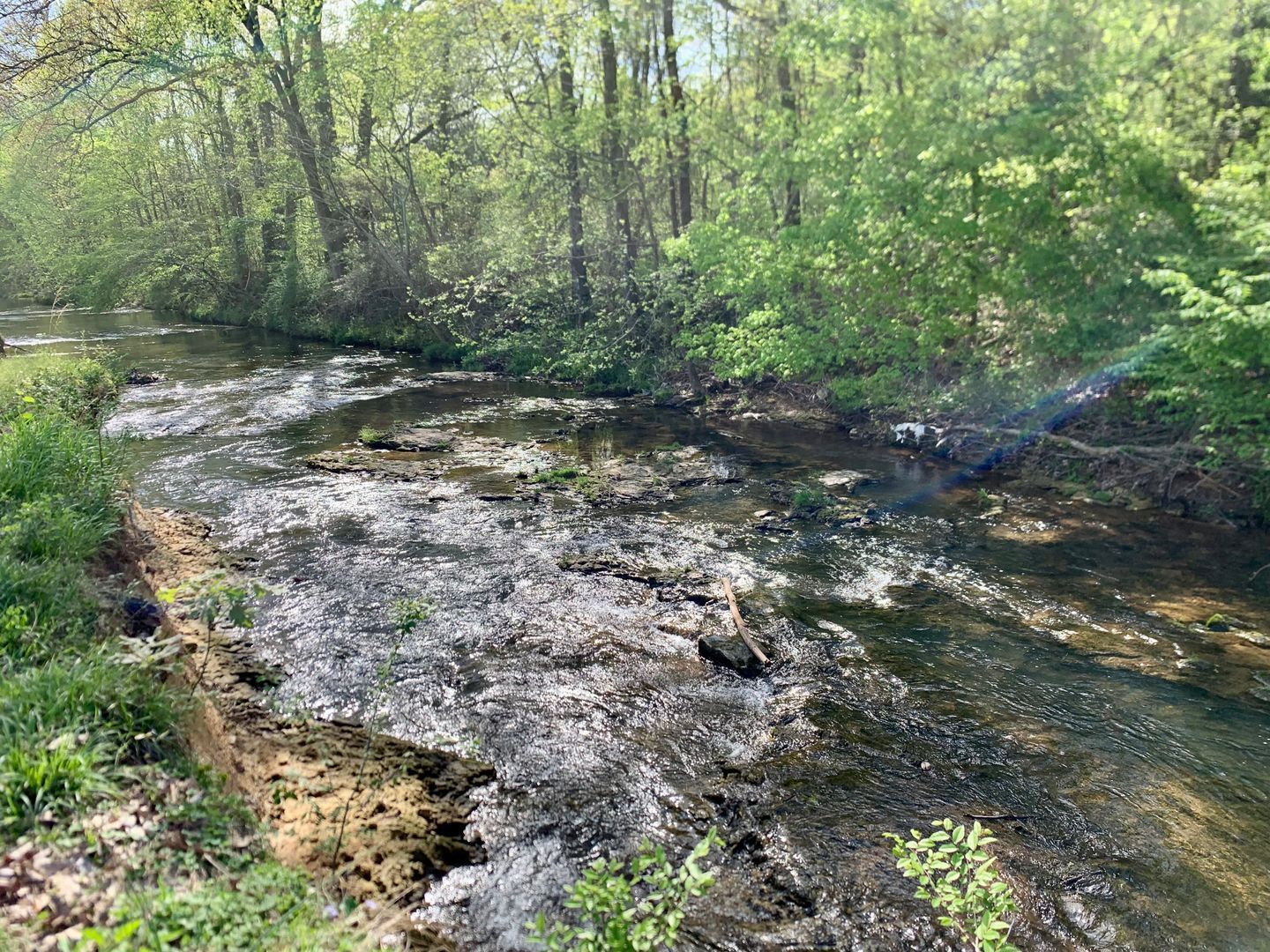 Gallery Image 11