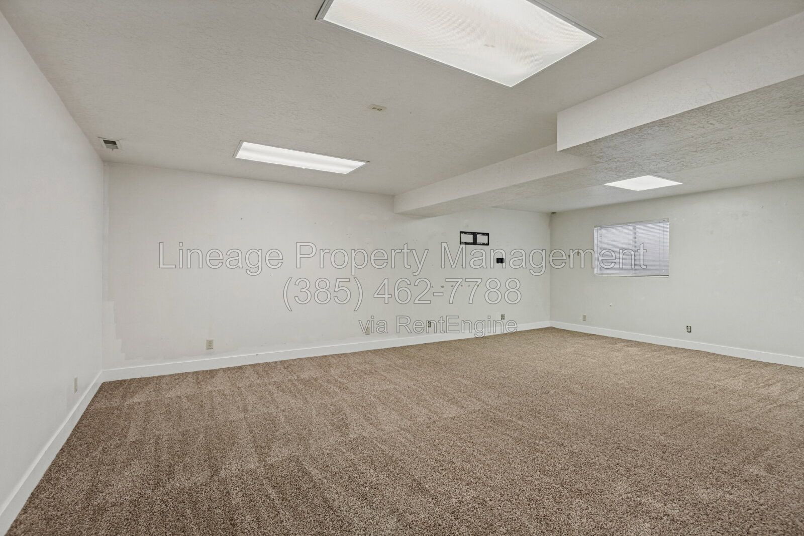 Gallery Image 16