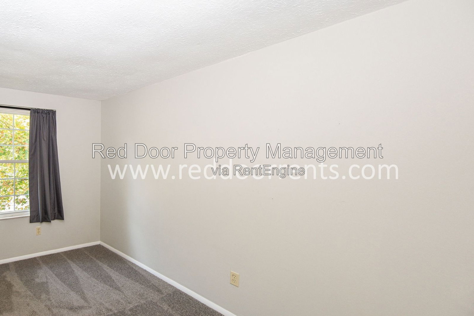 Gallery Image 20