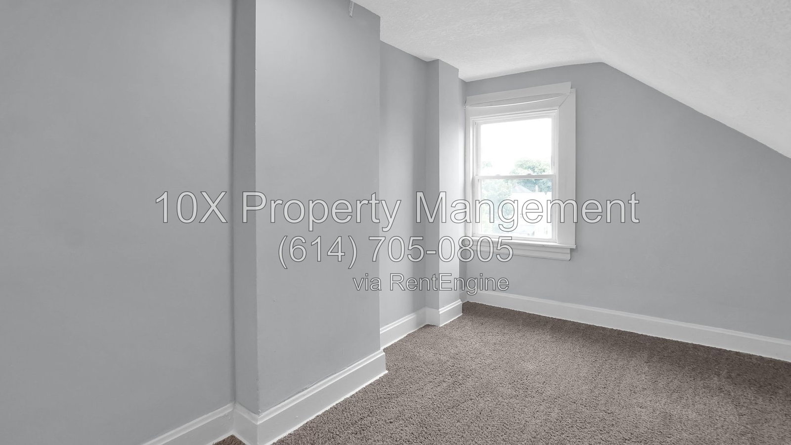 Gallery Image 21