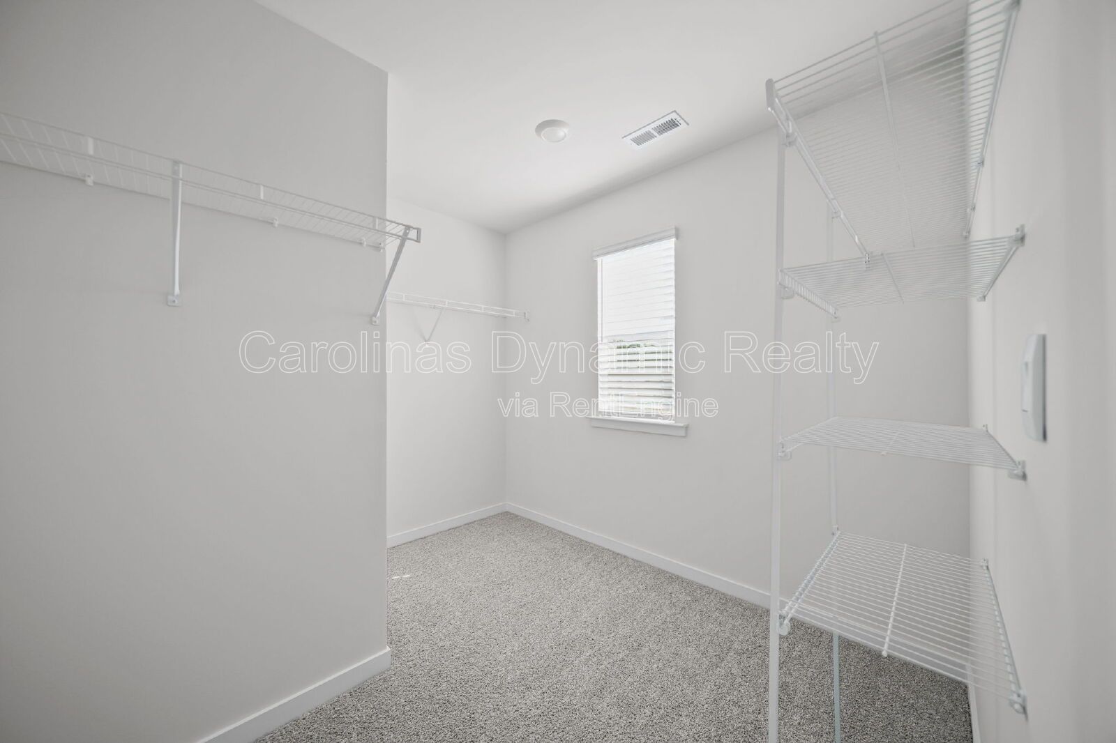 Gallery Image 33