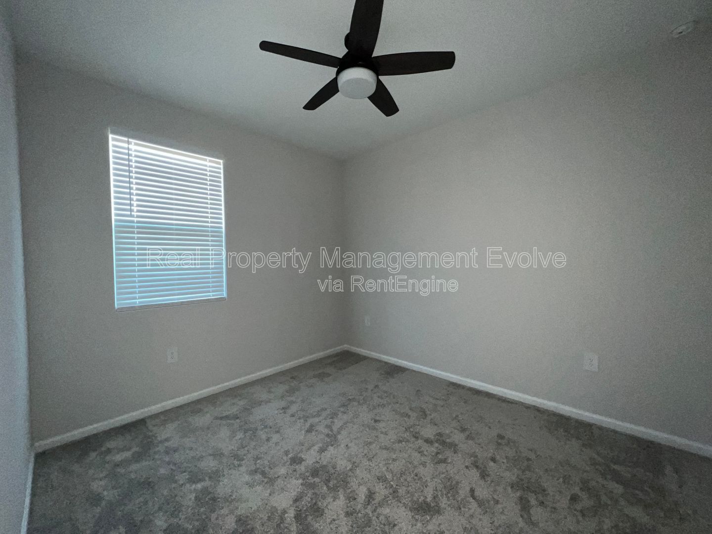 Gallery Image 30