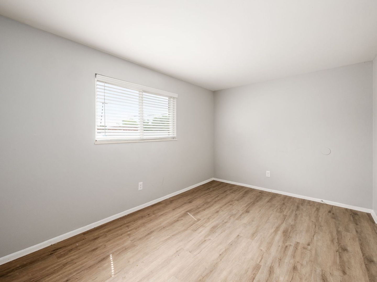Gallery Image 18