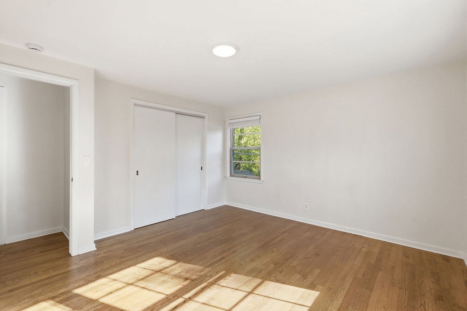 Gallery Image 16