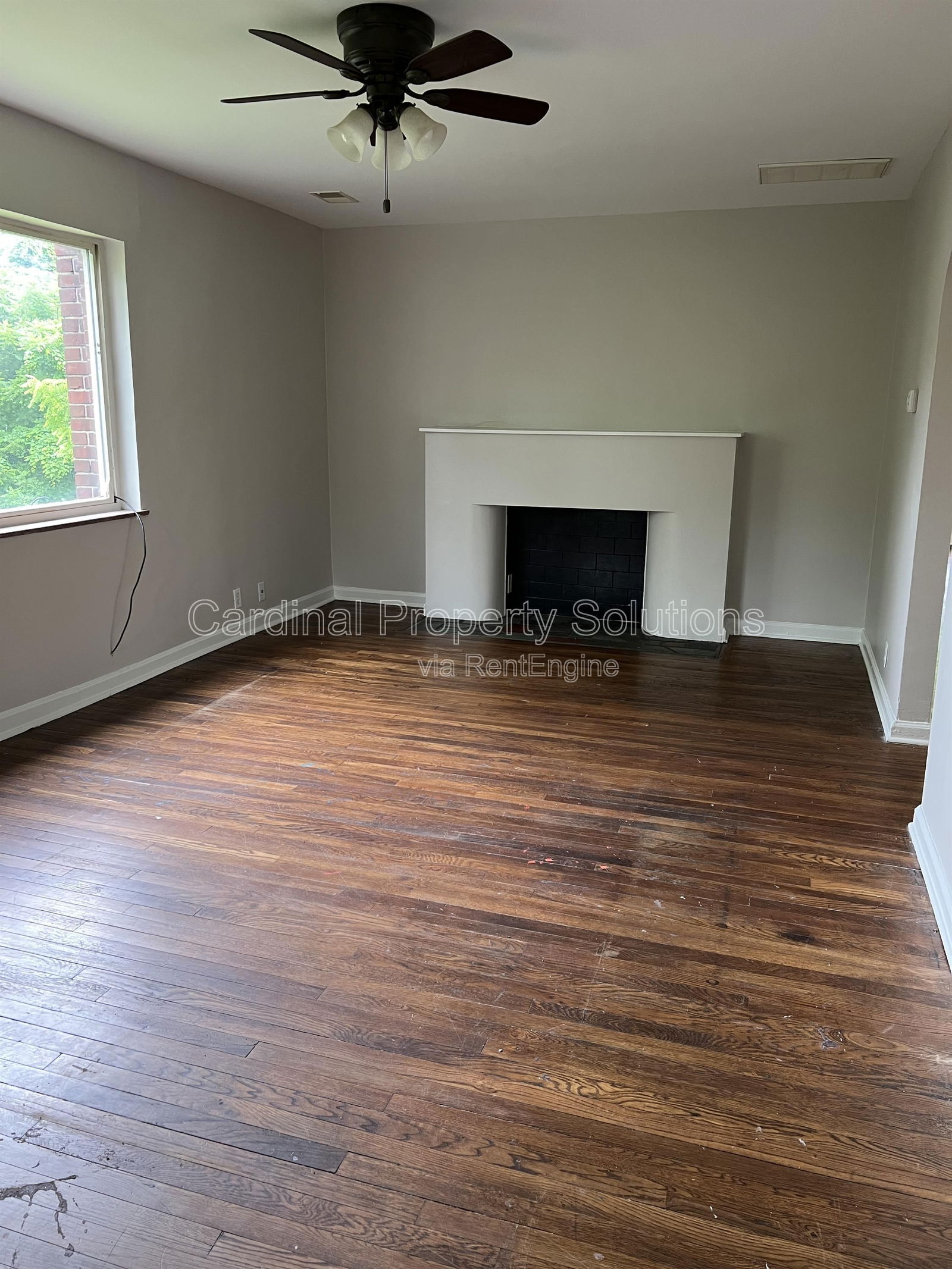 Gallery Image 0