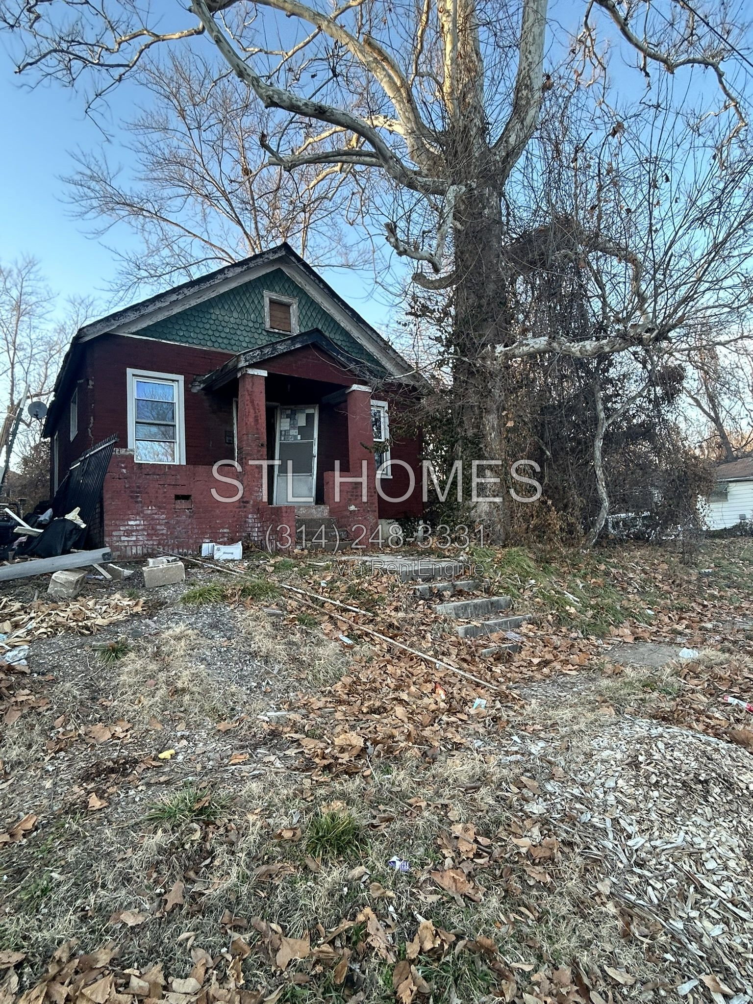 Gallery Image 0