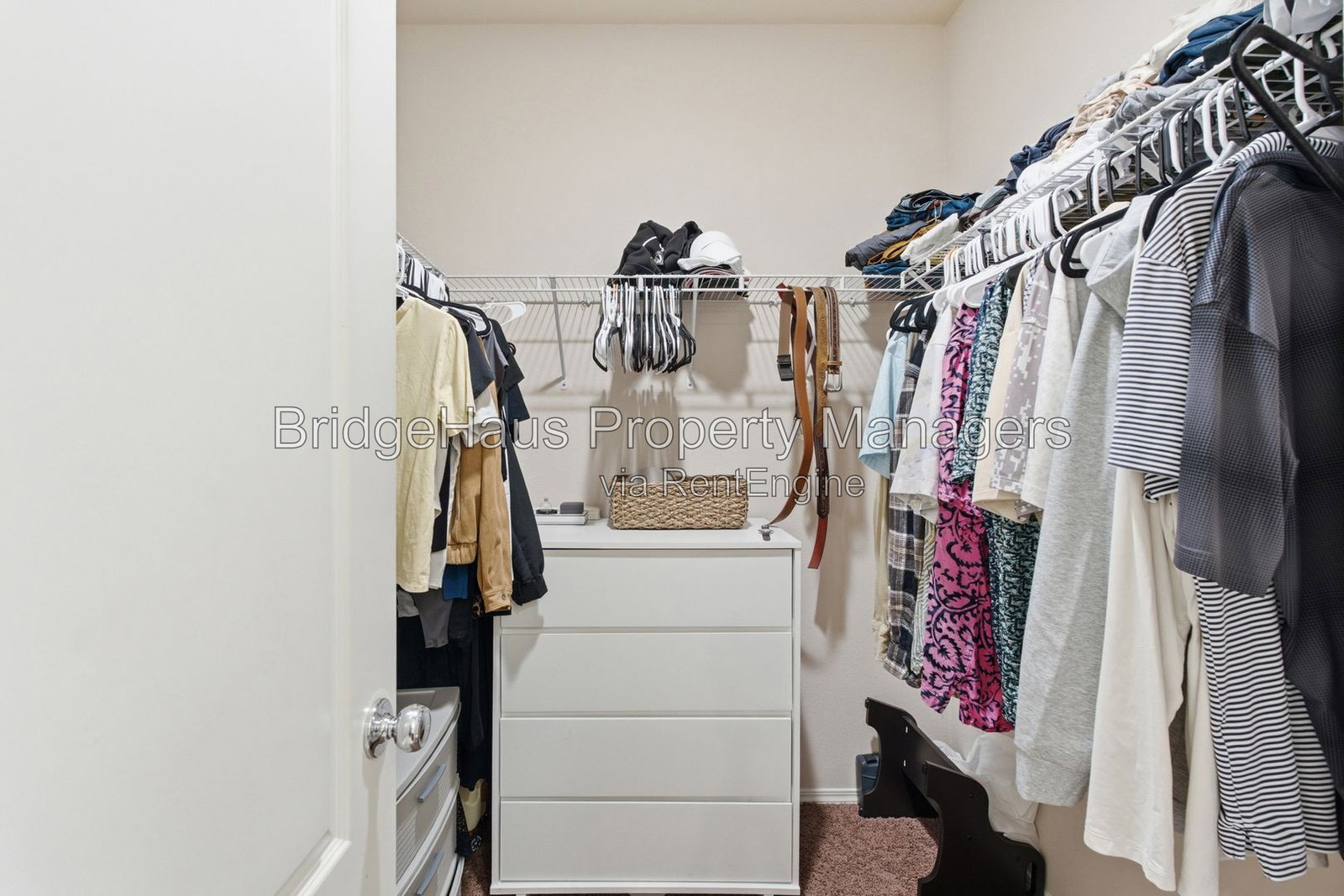 Gallery Image 22