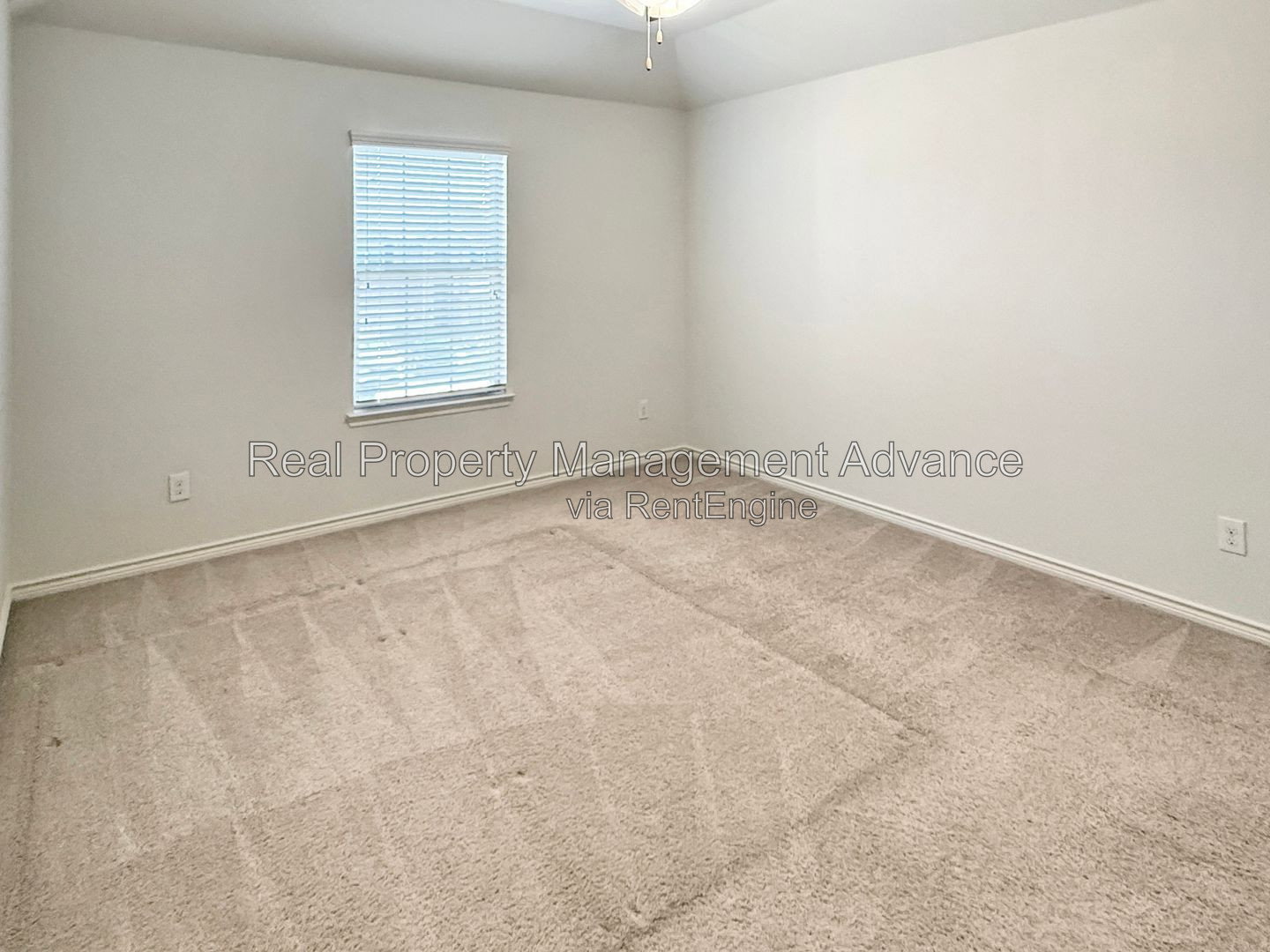 Gallery Image 19