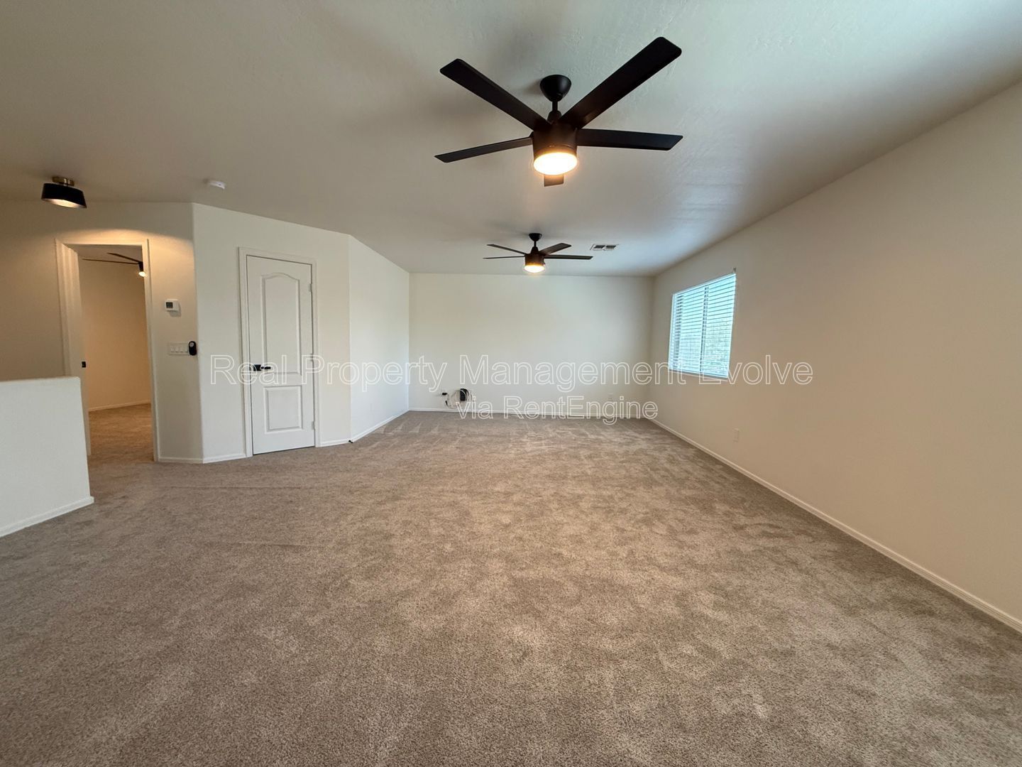 Gallery Image 23