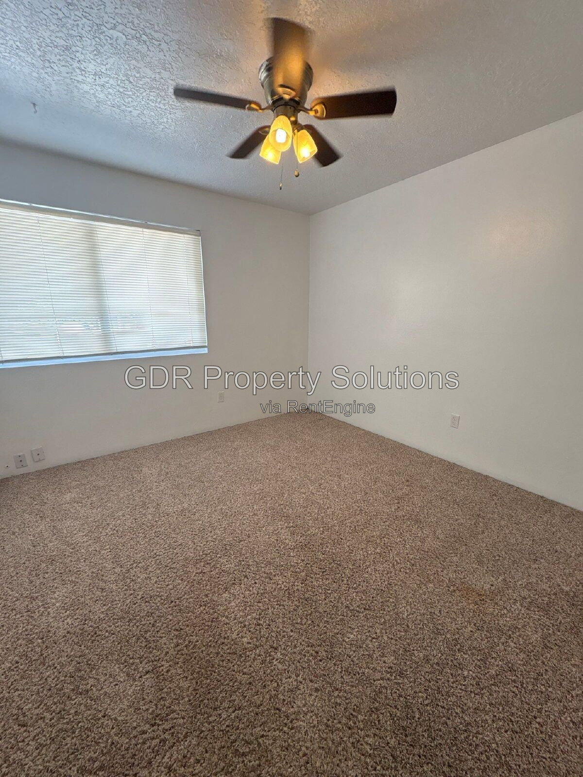 Gallery Image 37