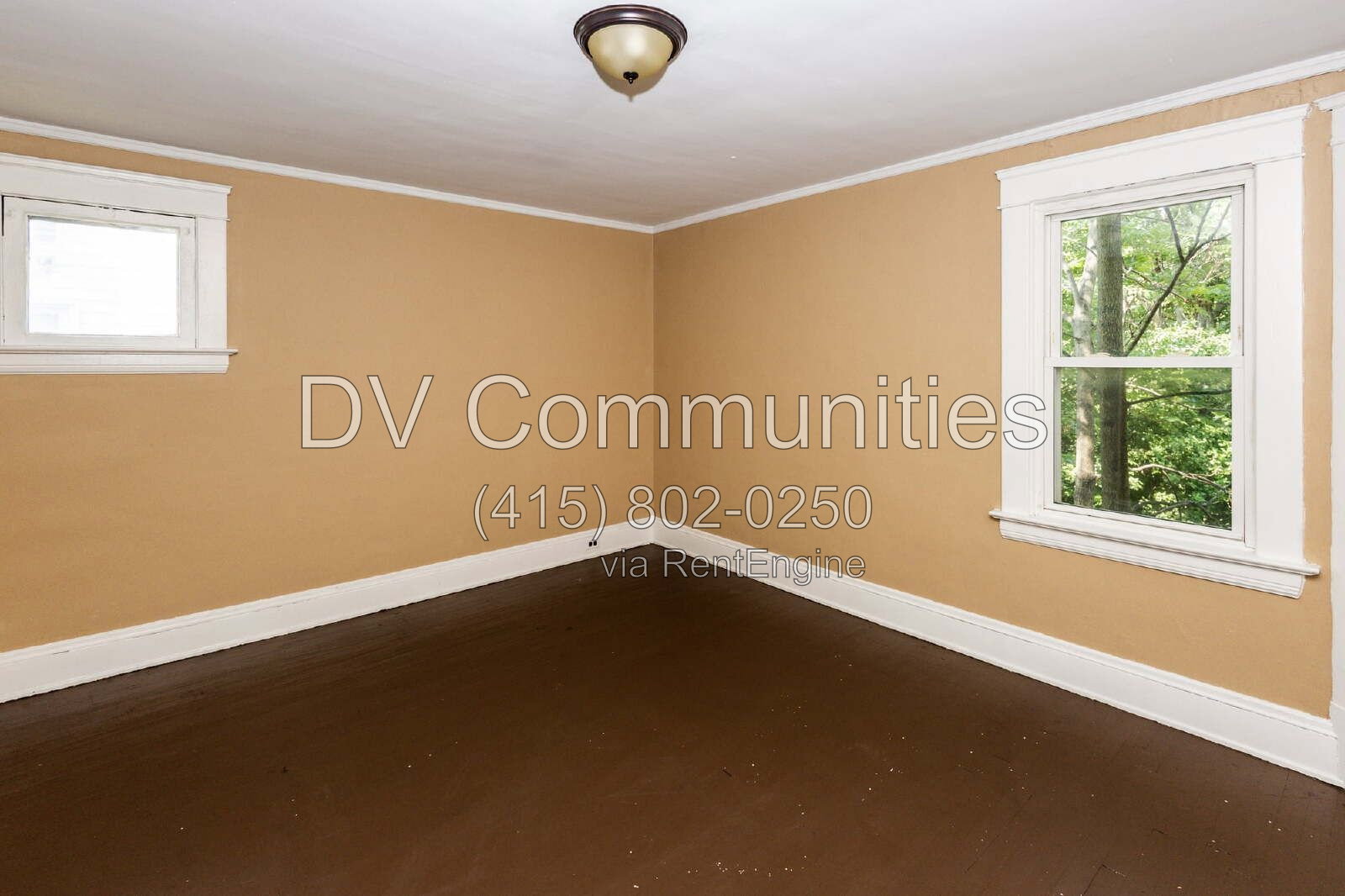 Gallery Image 42