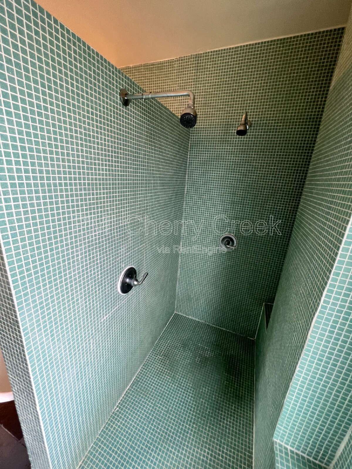 Gallery Image 37