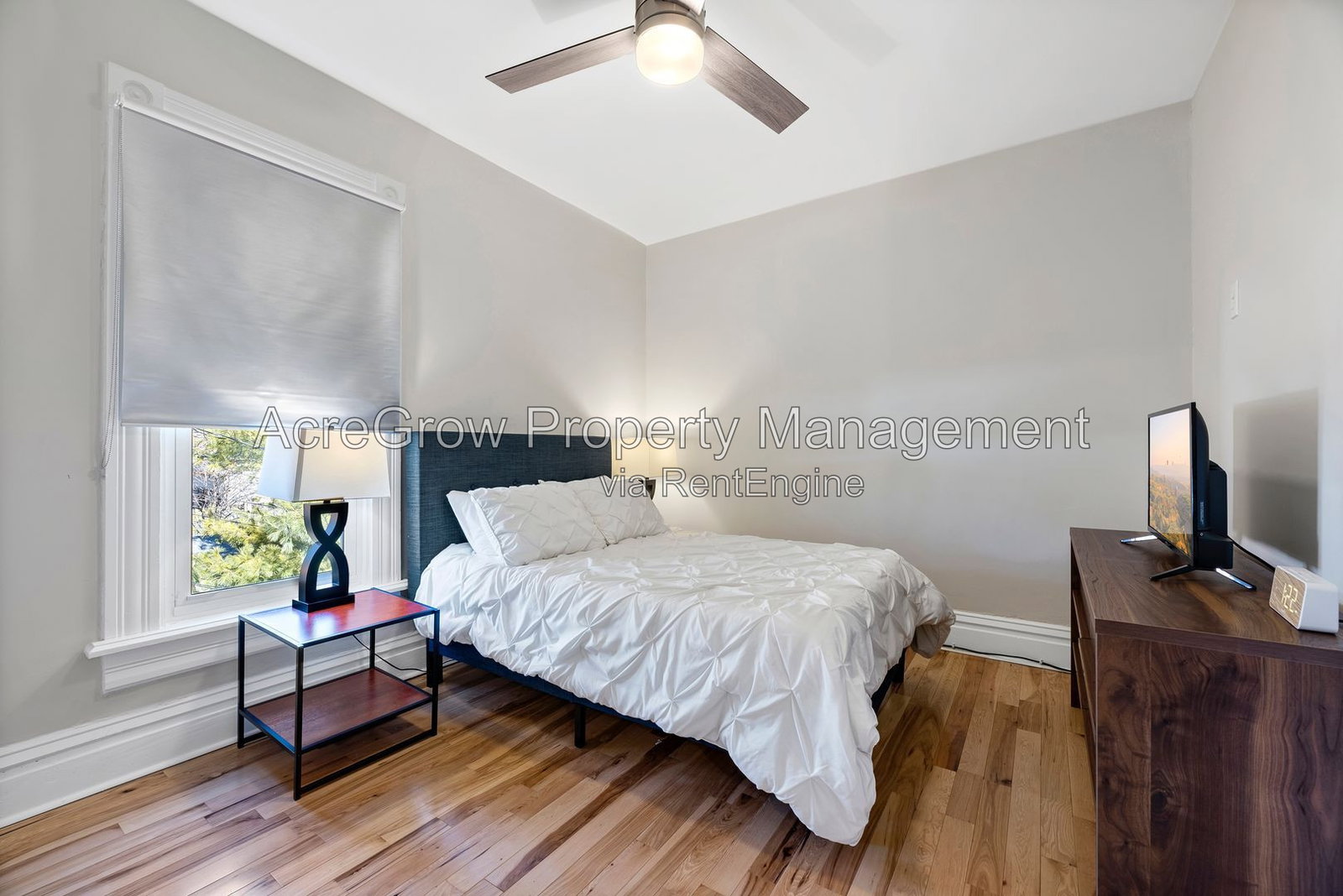 Gallery Image 14