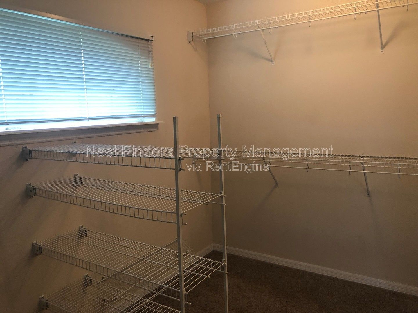 Gallery Image 18