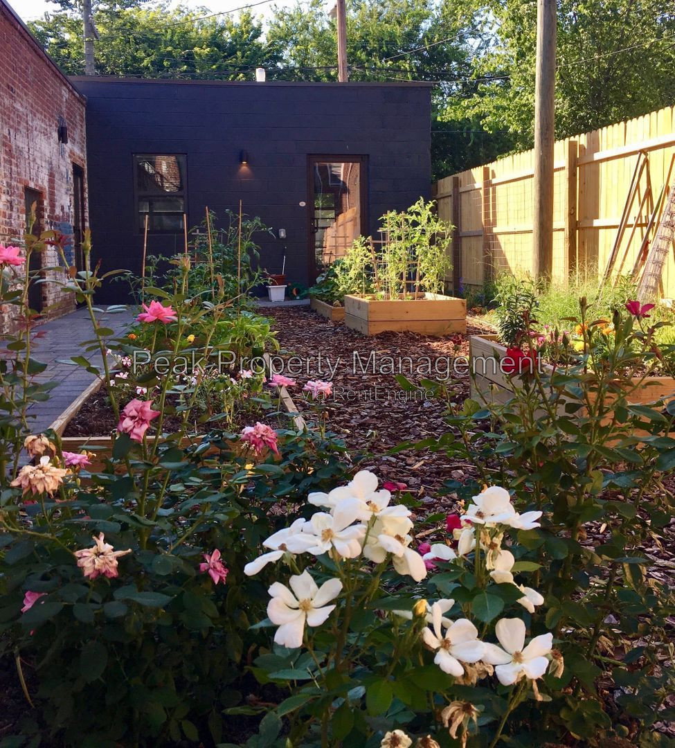 Gallery Image 6