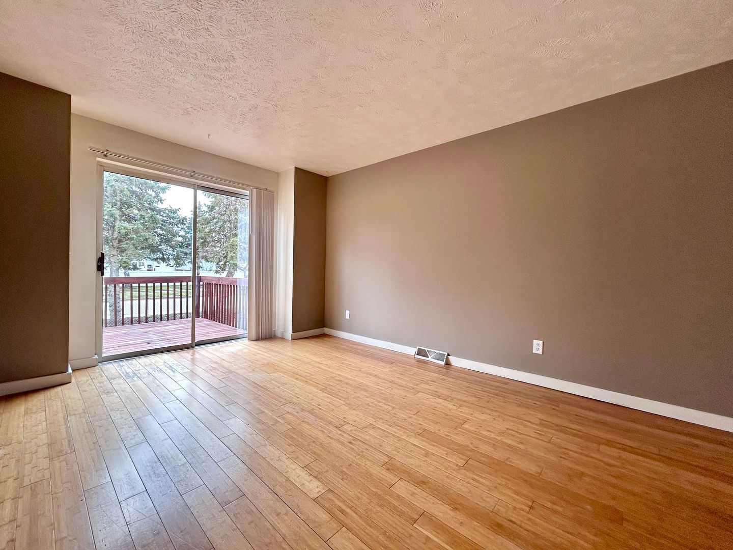 Gallery Image 0