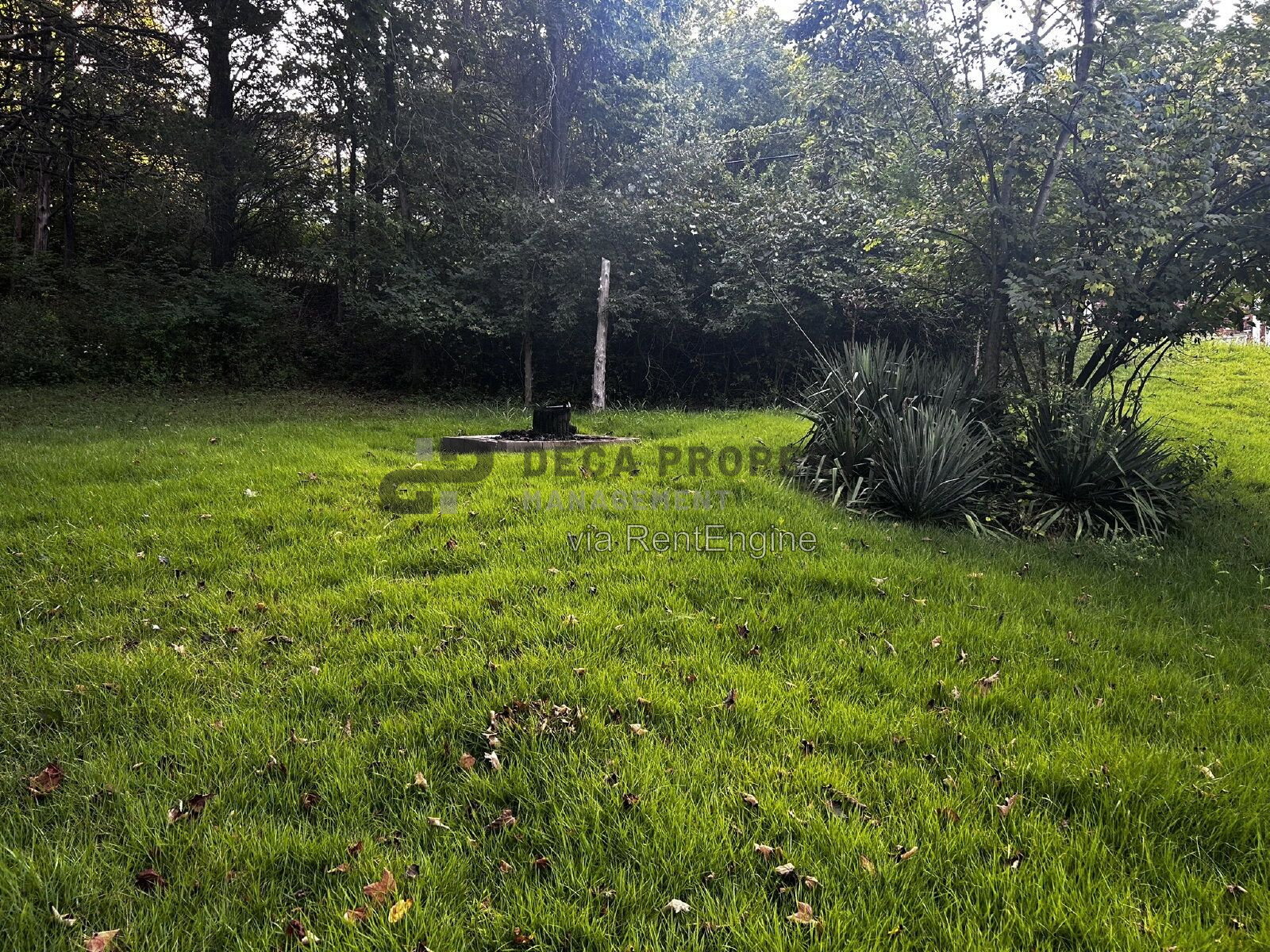 Gallery Image 17