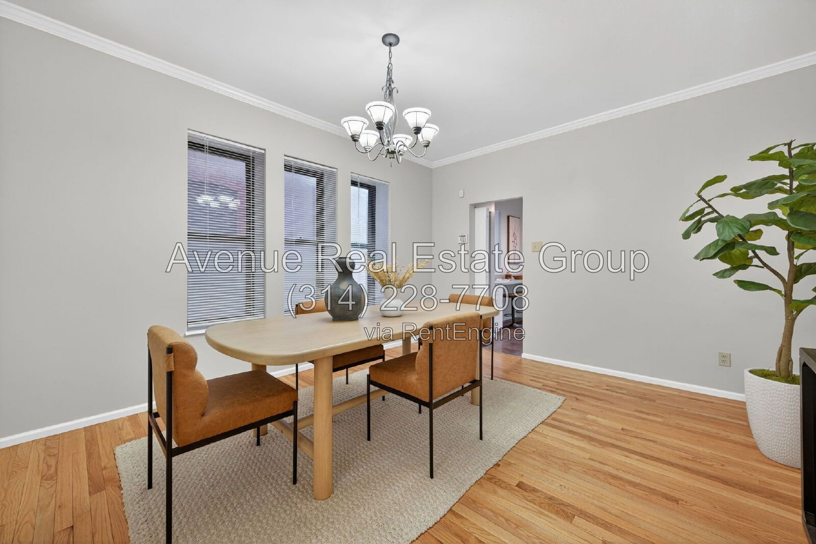 Gallery Image 14