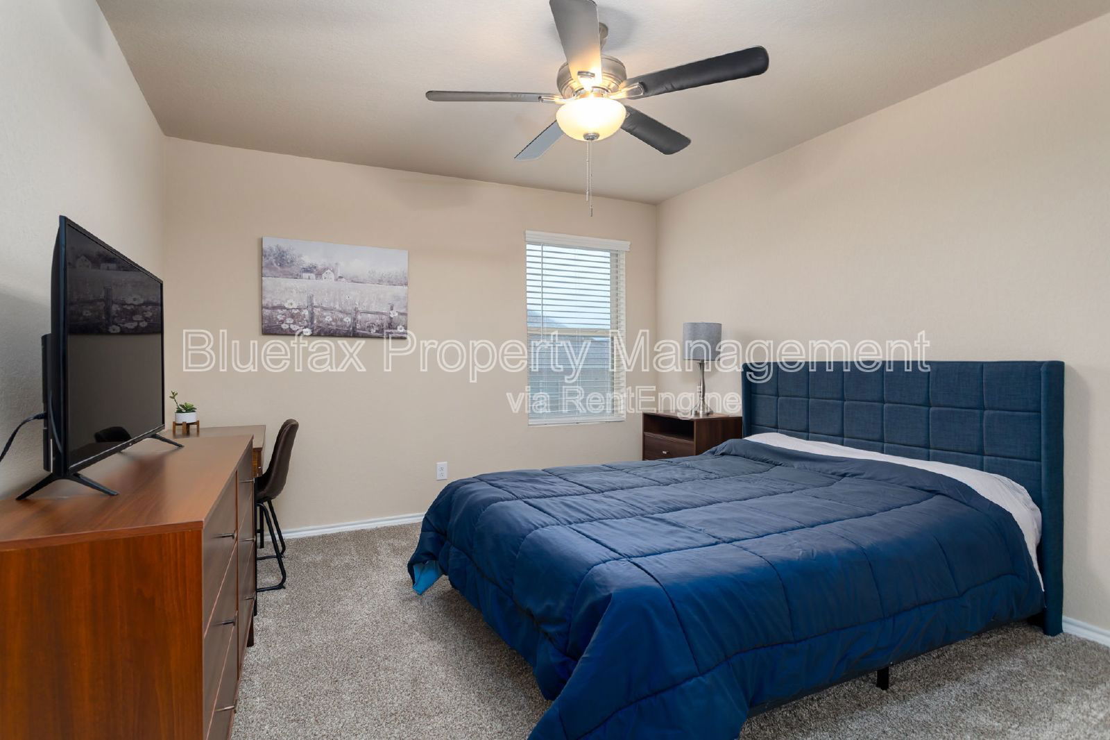 Gallery Image 19