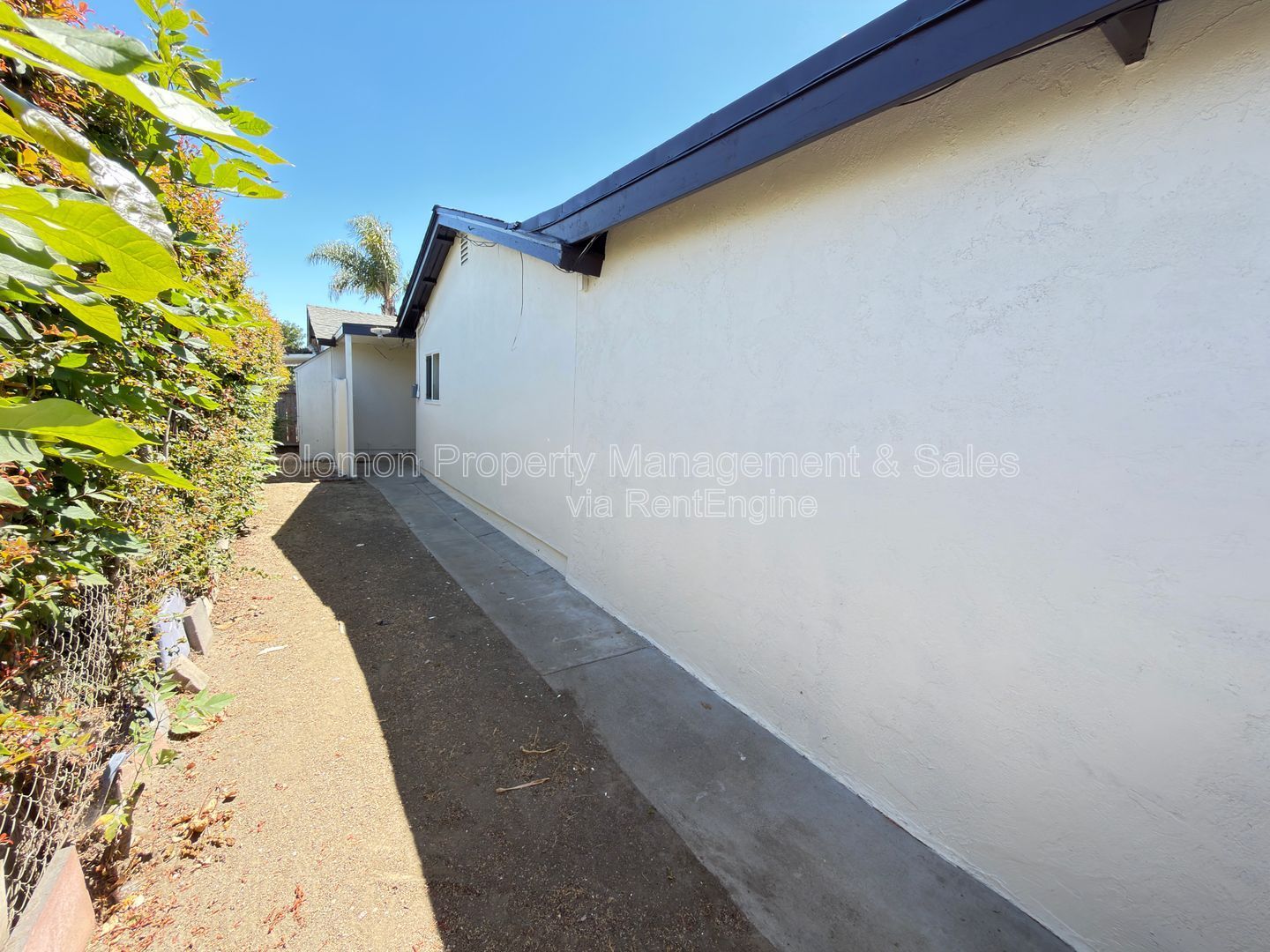 Gallery Image 21