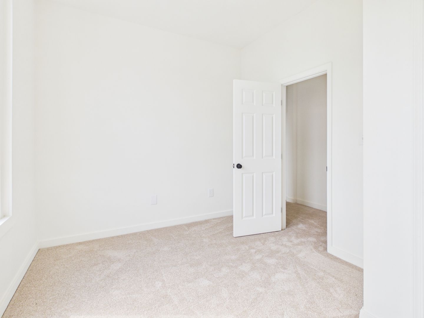 Gallery Image 16