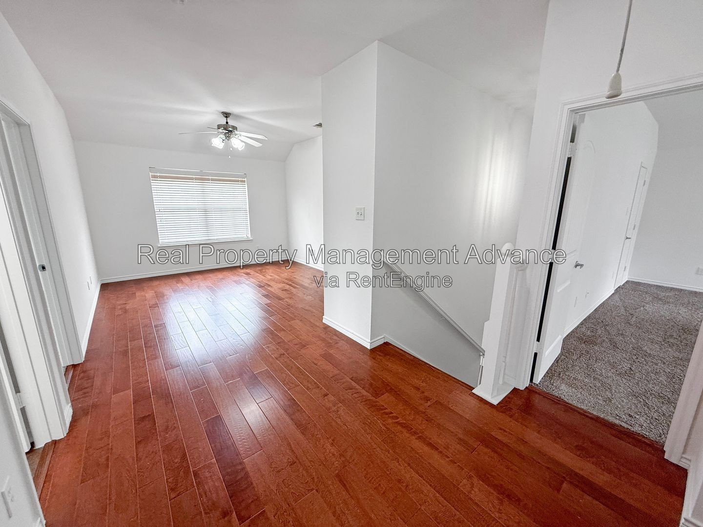 Gallery Image 15