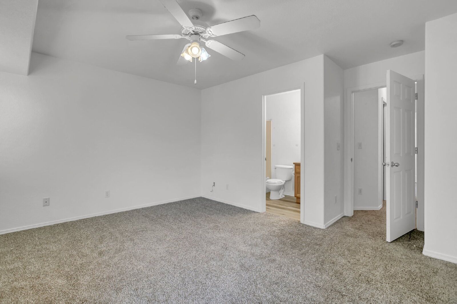 Gallery Image 18