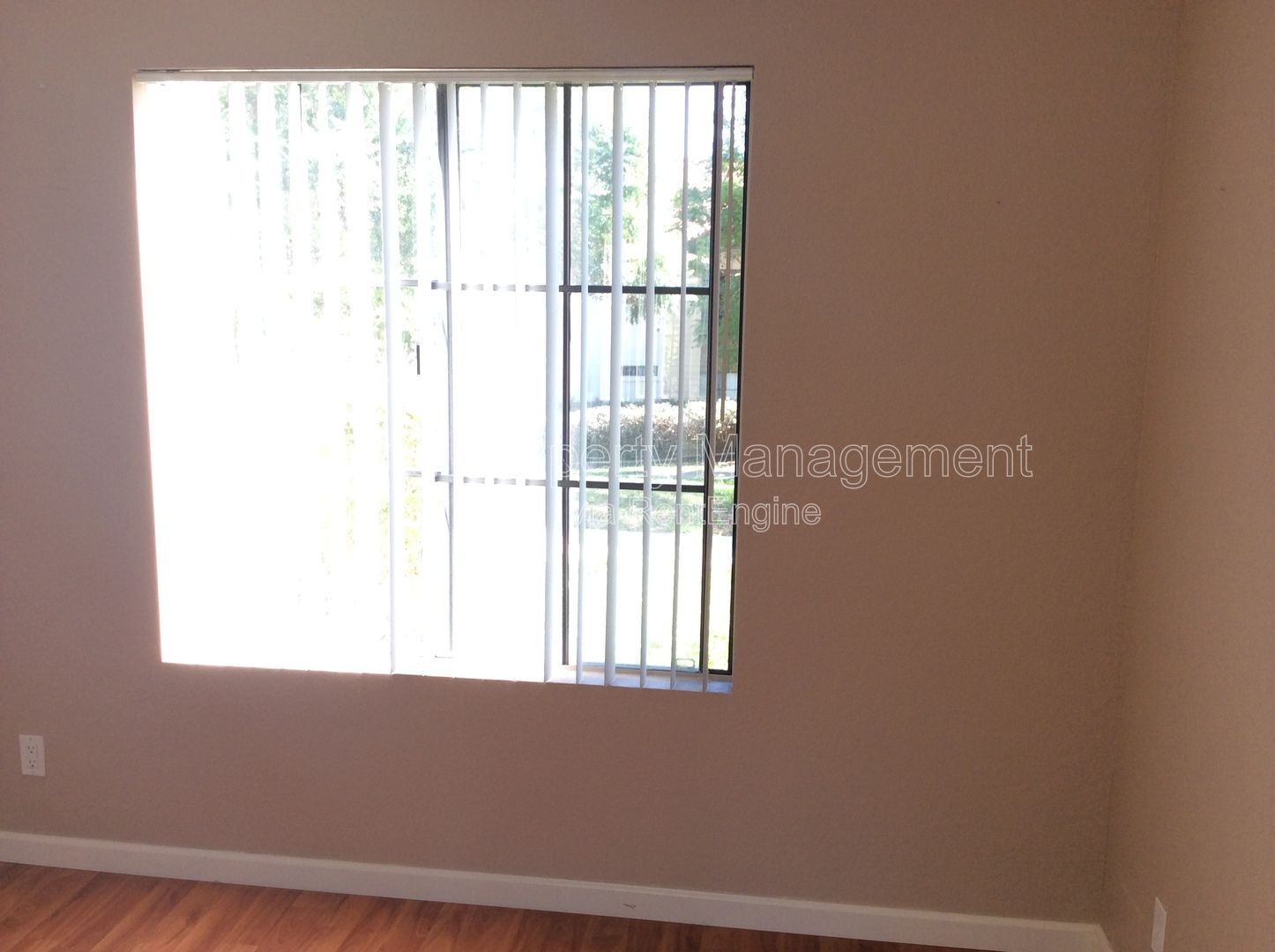 Gallery Image 19