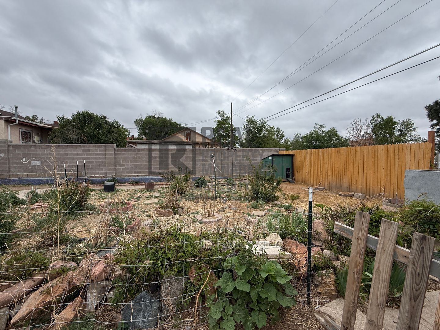 Gallery Image 20