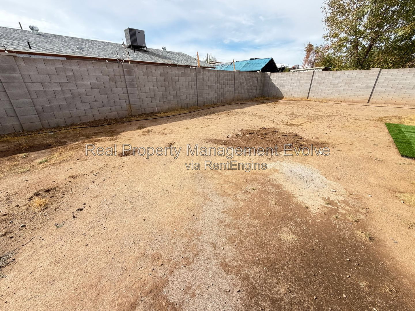 Gallery Image 19