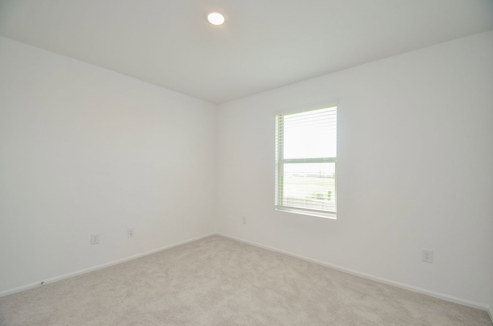 Gallery Image 18