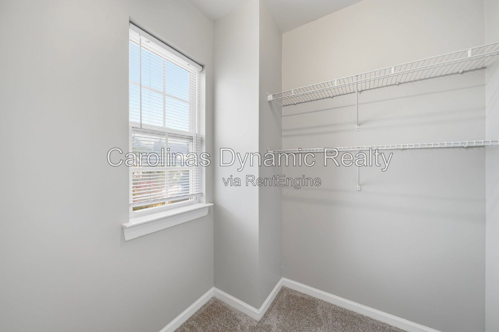 Gallery Image 30