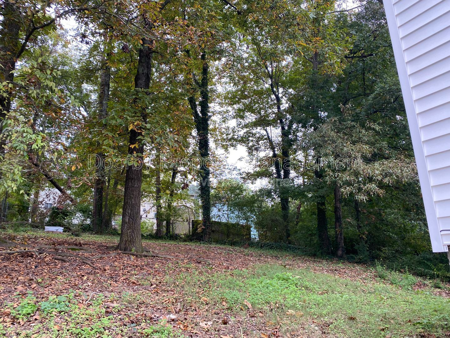 Gallery Image 11