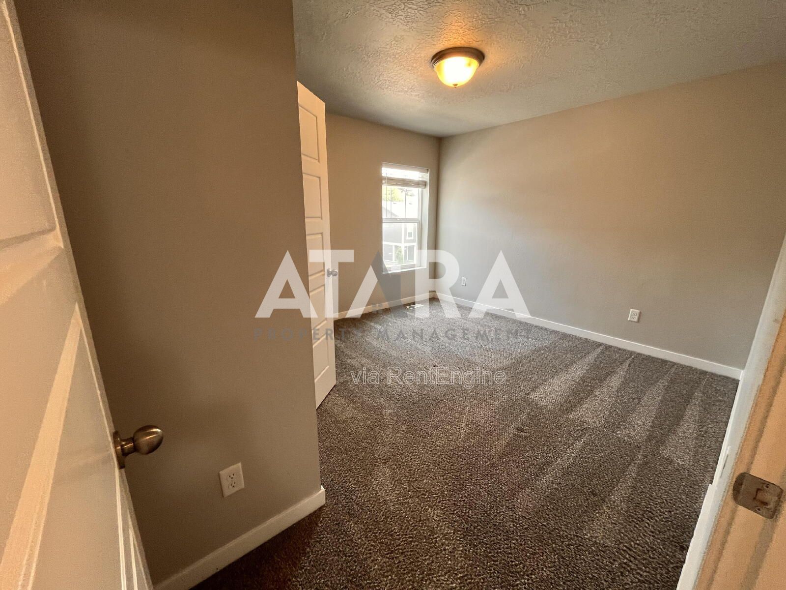 Gallery Image 33