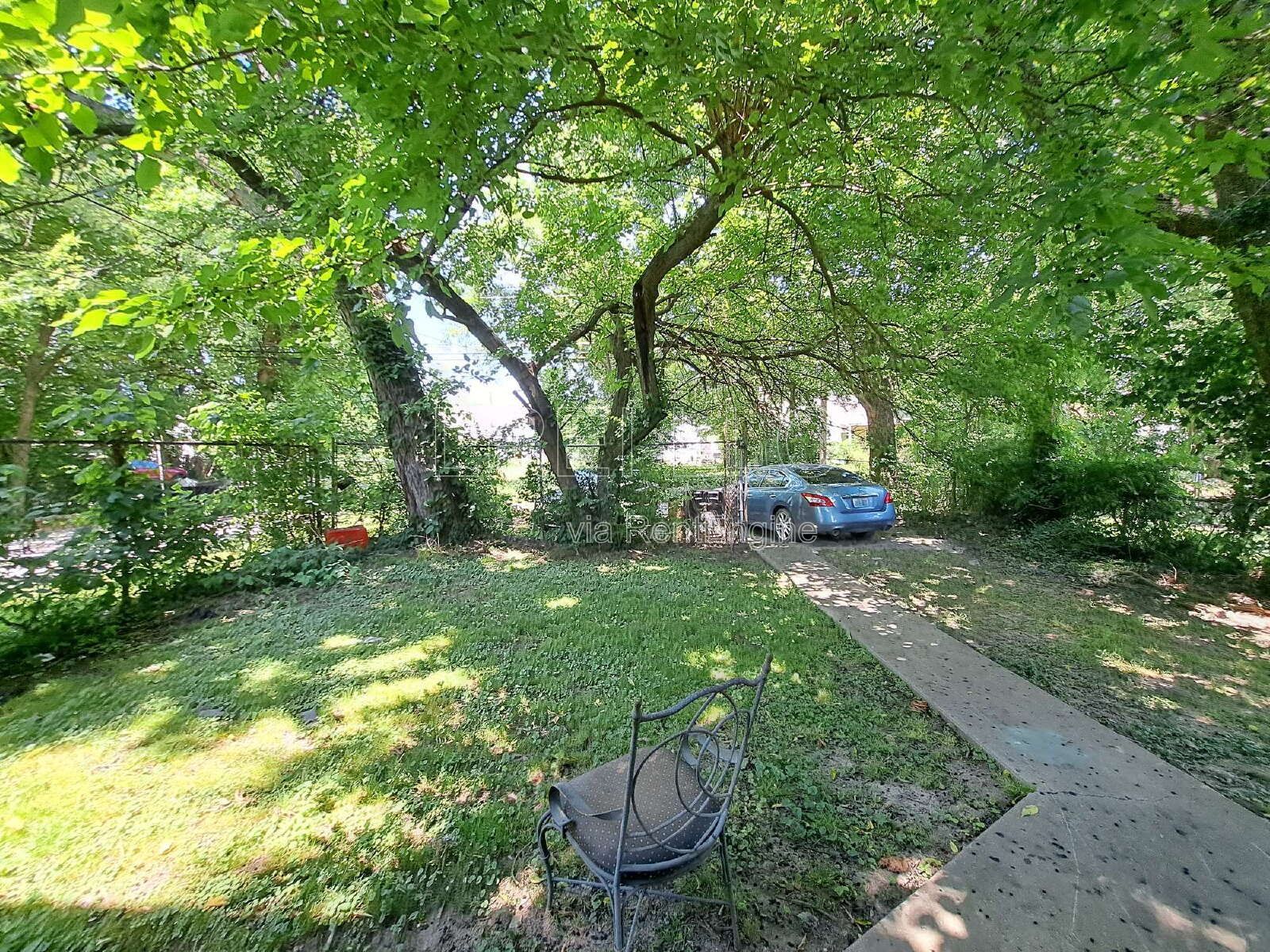 Gallery Image 11
