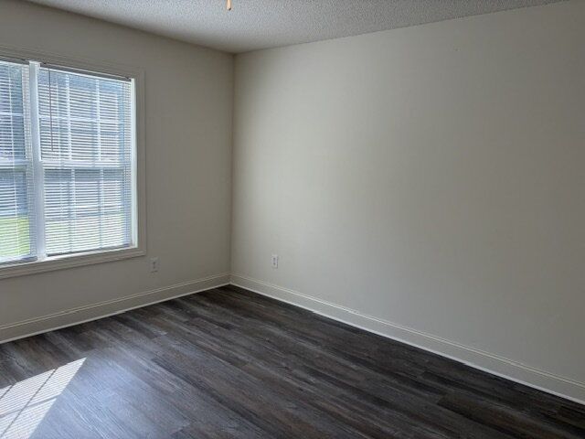Gallery Image 19