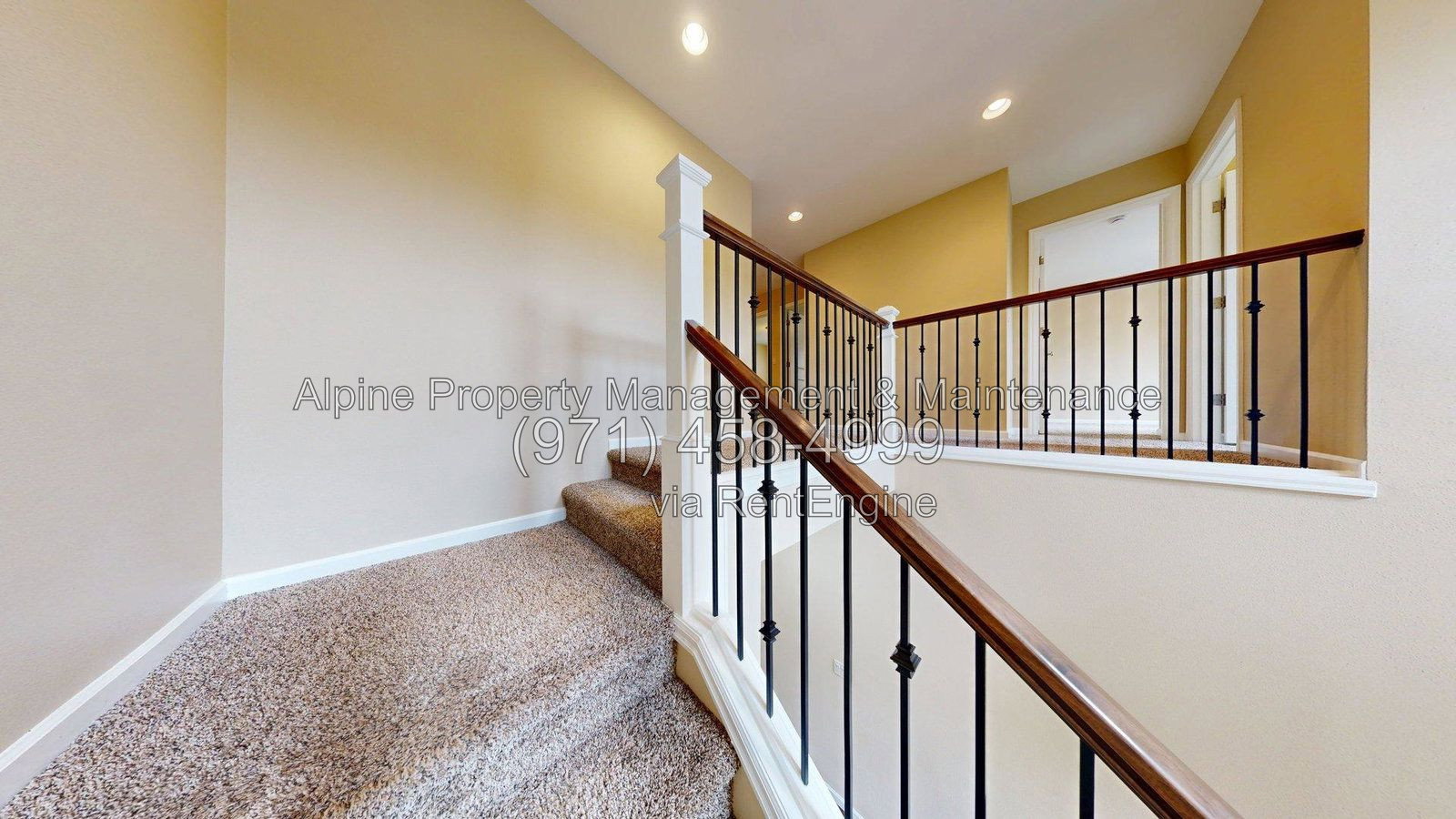 Gallery Image 29