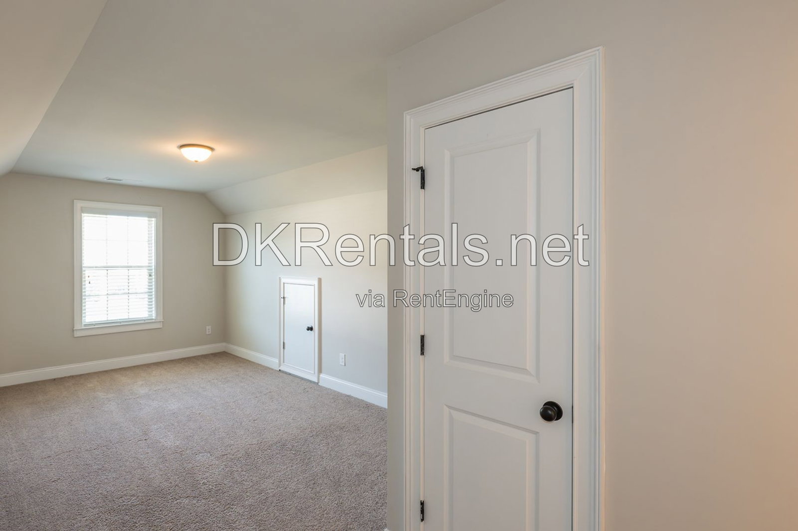 Gallery Image 33