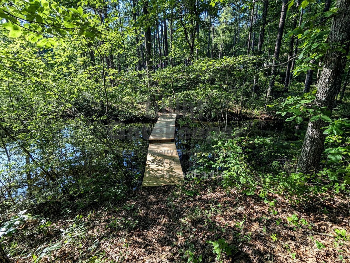 Gallery Image 21