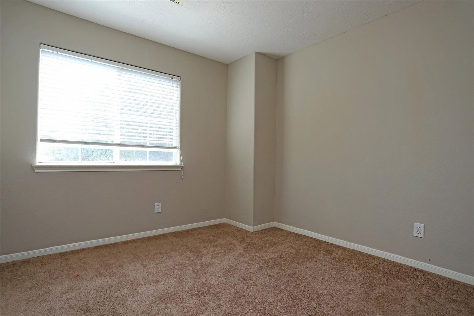 Gallery Image 22