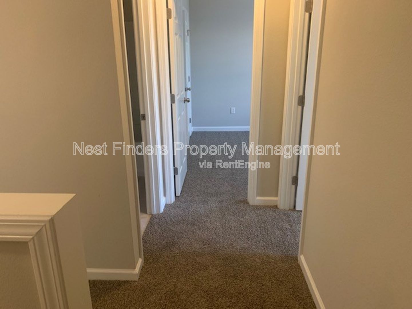 Gallery Image 18